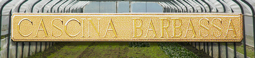 Barbassa_Logo