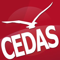 Logo_CedasFiat