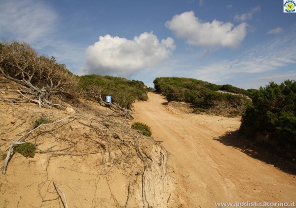 FormenterabyAlex-247