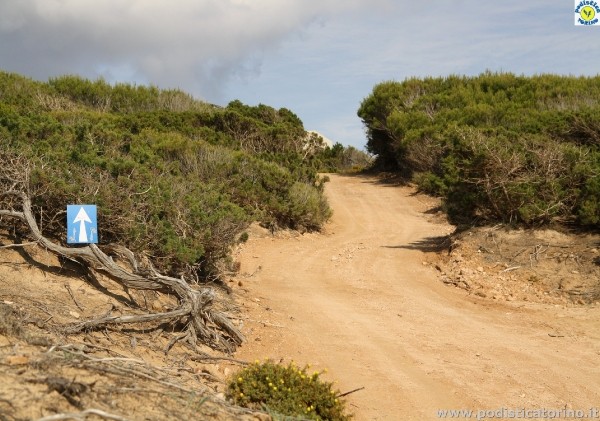 FormenterabyAlex-248