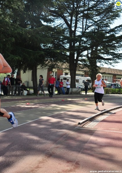 24x1oraAsti-50
