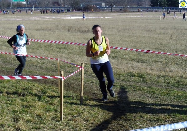 Crossscarmagno2012-12