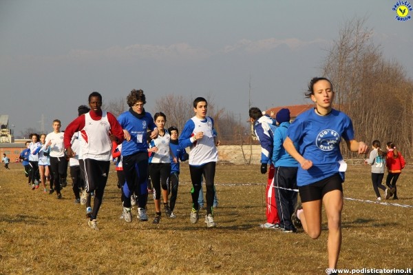 Crosscaselle2012-865