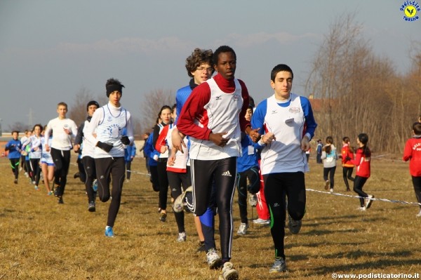 Crosscaselle2012-866