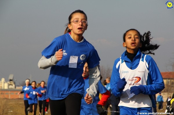 Crosscaselle2012-919