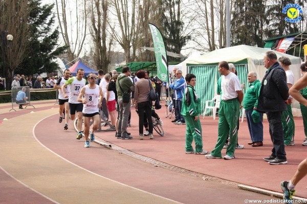 24x1oraAsti-173