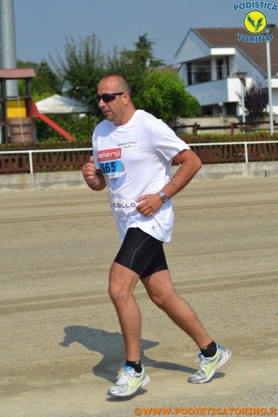 Hipporun-101