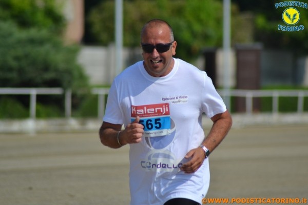 Hipporun-104