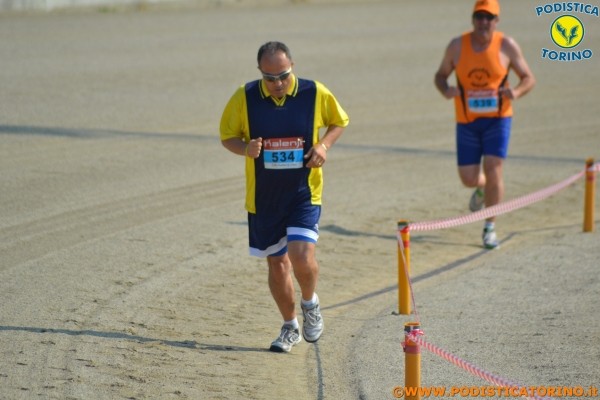 Hipporun-174