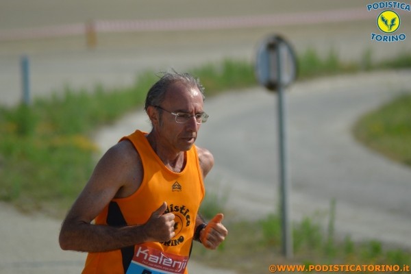 Hipporun-179