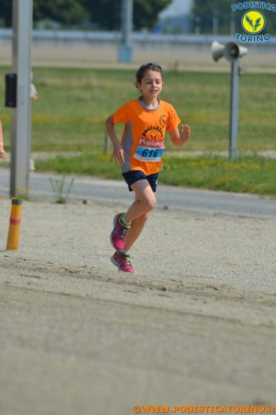 Hipporun-18