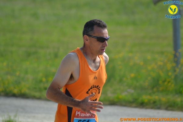 Hipporun-197