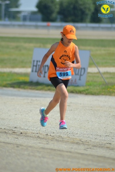 Hipporun-20