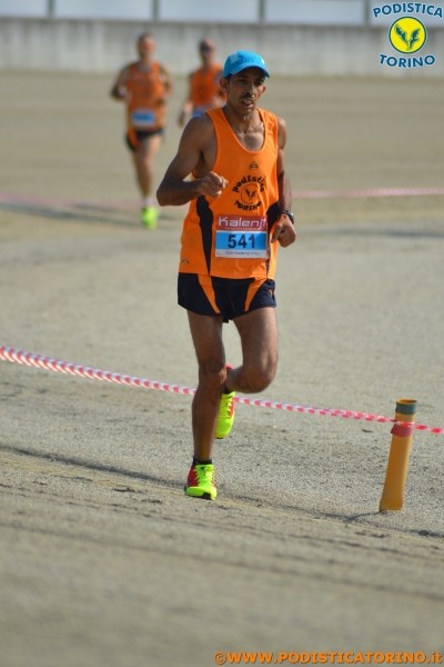 Hipporun-215
