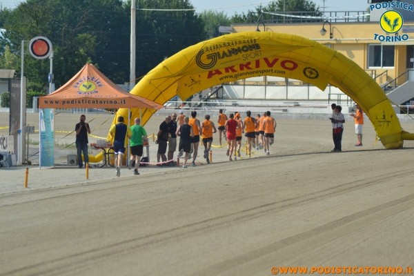 Hipporun-217