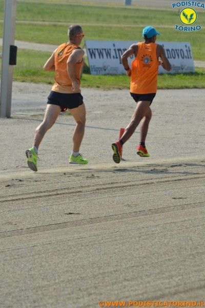 Hipporun-229
