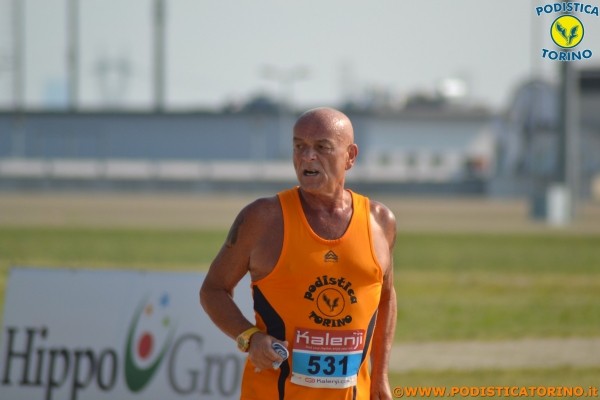 Hipporun-281