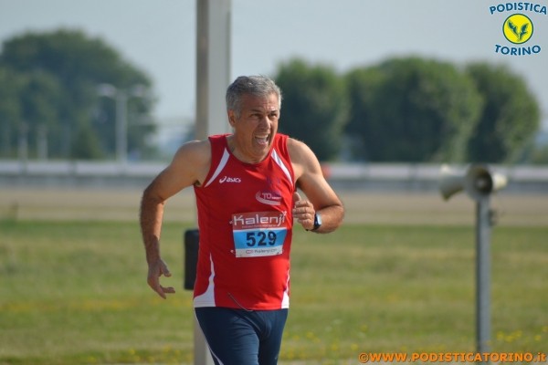Hipporun-287