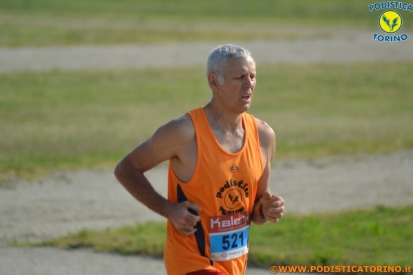 Hipporun-295