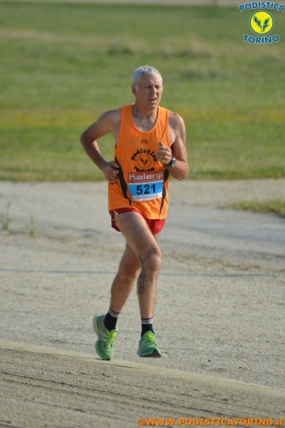 Hipporun-297