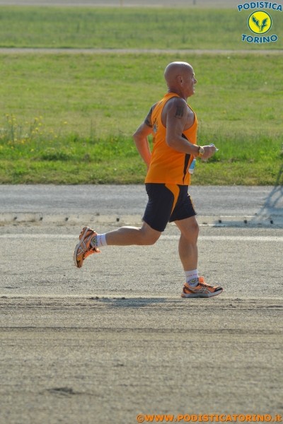 Hipporun-316