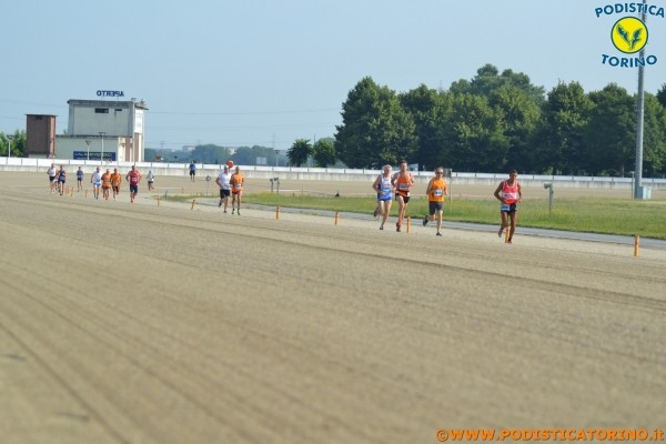 Hipporun-328