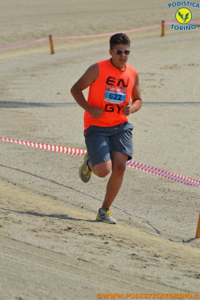 Hipporun-372