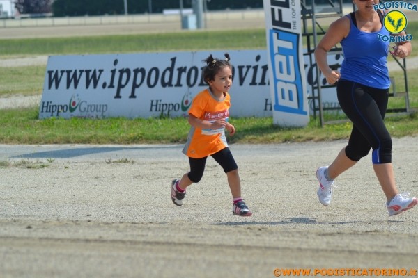 Hipporun-391