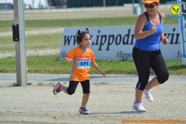 Hipporun-392