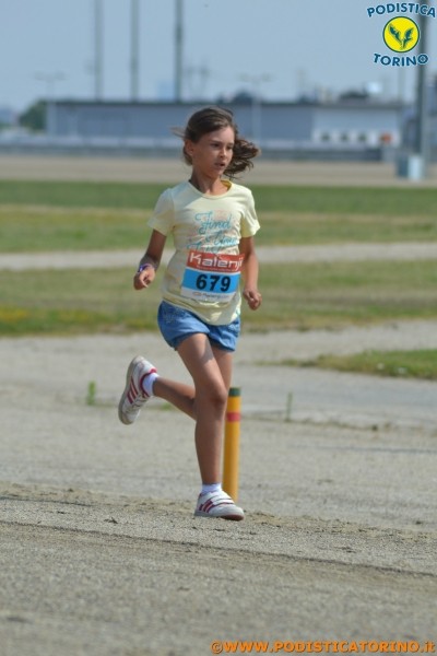 Hipporun-406