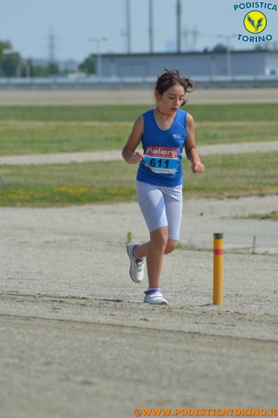 Hipporun-407