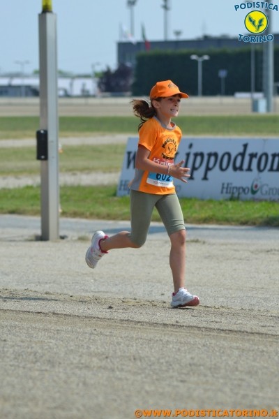 Hipporun-408