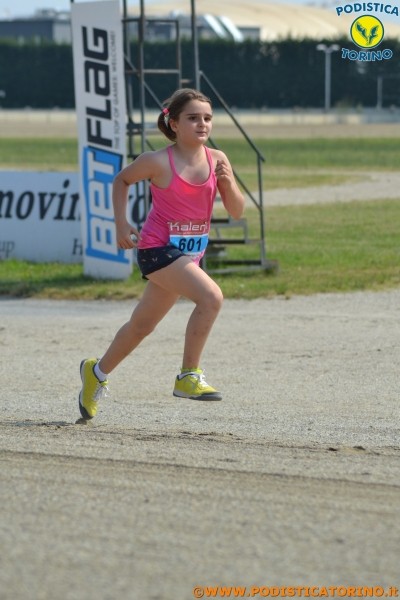 Hipporun-419