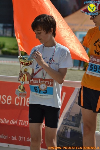 Hipporun-45