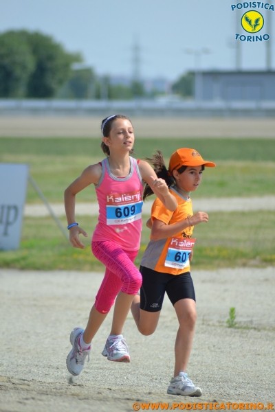 Hipporun-9