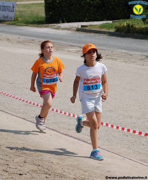 Hipporun2015-197
