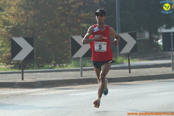 Hipporun-121