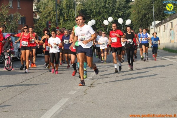 Hipporun-159