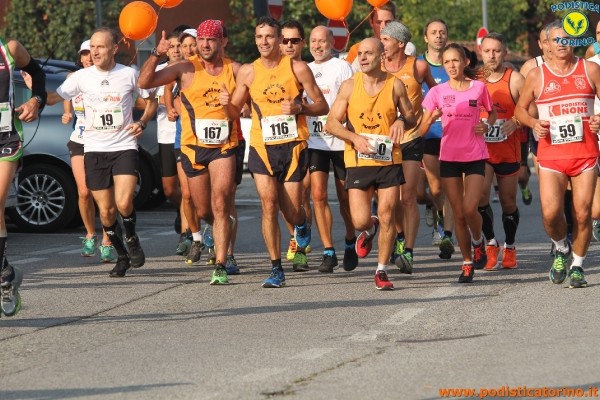 Hipporun-177
