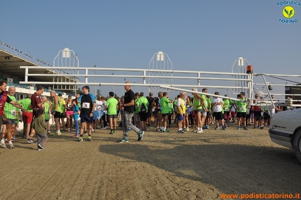 Hipporun-879