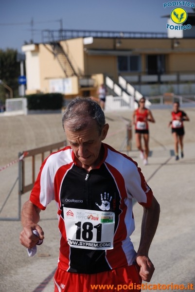 Hipporun-177