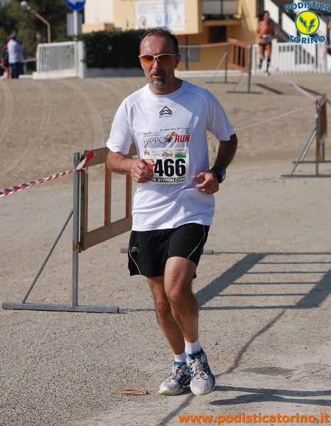 Hipporun-197