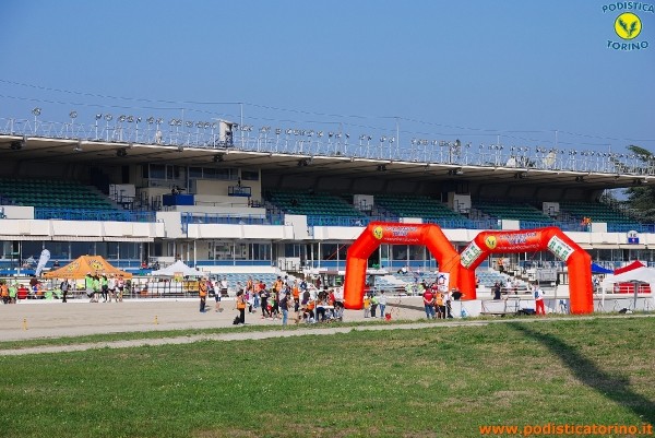 Hipporun-222