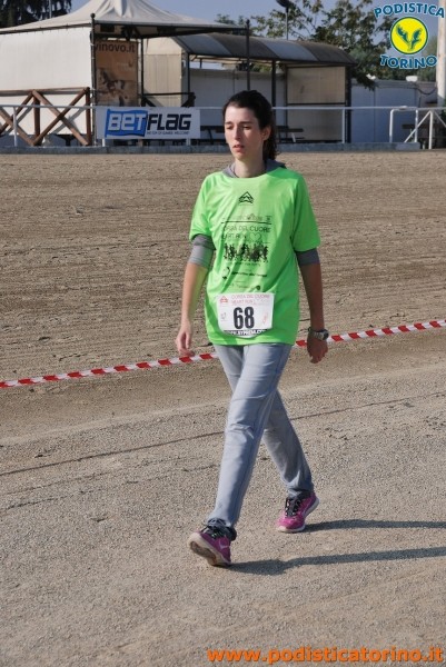 Hipporun-230