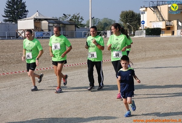 Hipporun-253