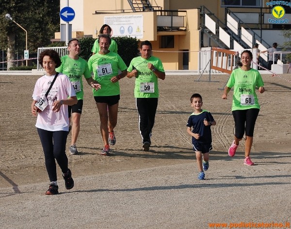 Hipporun-254