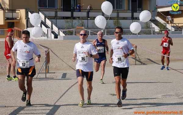Hipporun-262