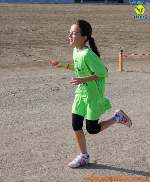Hipporun-268