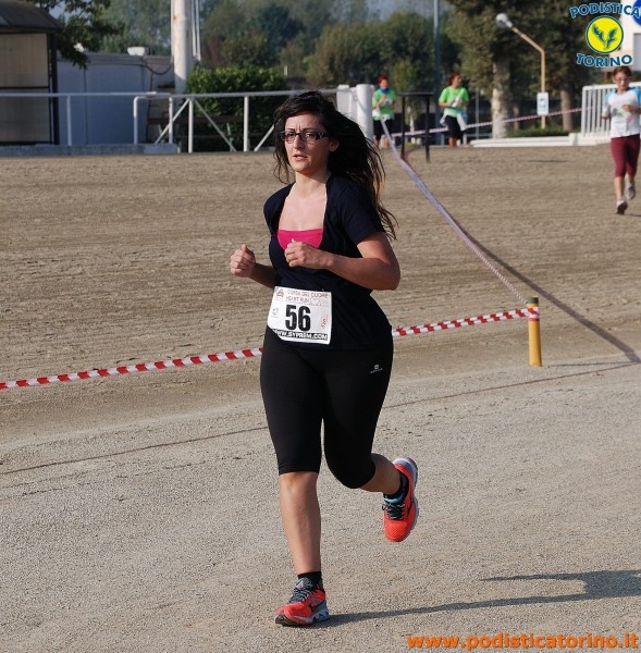 Hipporun-291