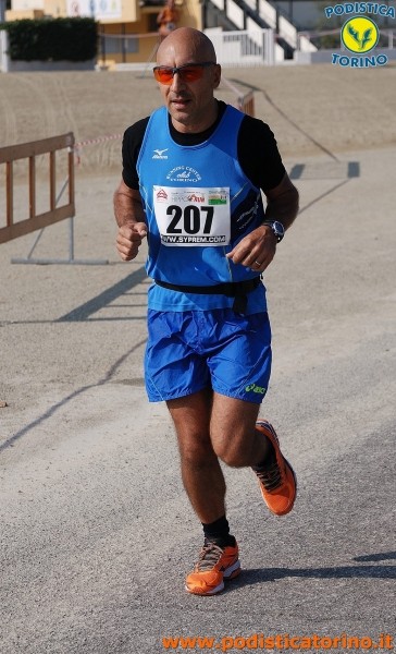 Hipporun-369